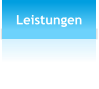 Leistungen